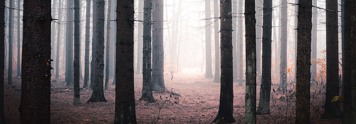 The Grief We Carry